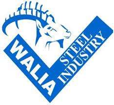 Walia Steel Industry PLC